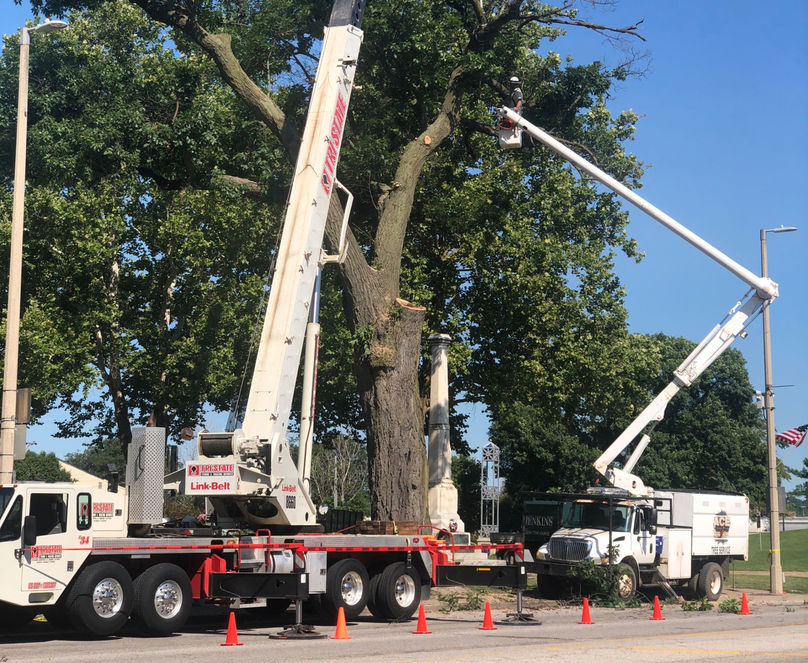 070718-treedown-webonly